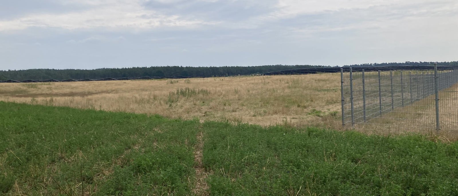  Mega-Solaranlage Kuhz lässt Natur veröden