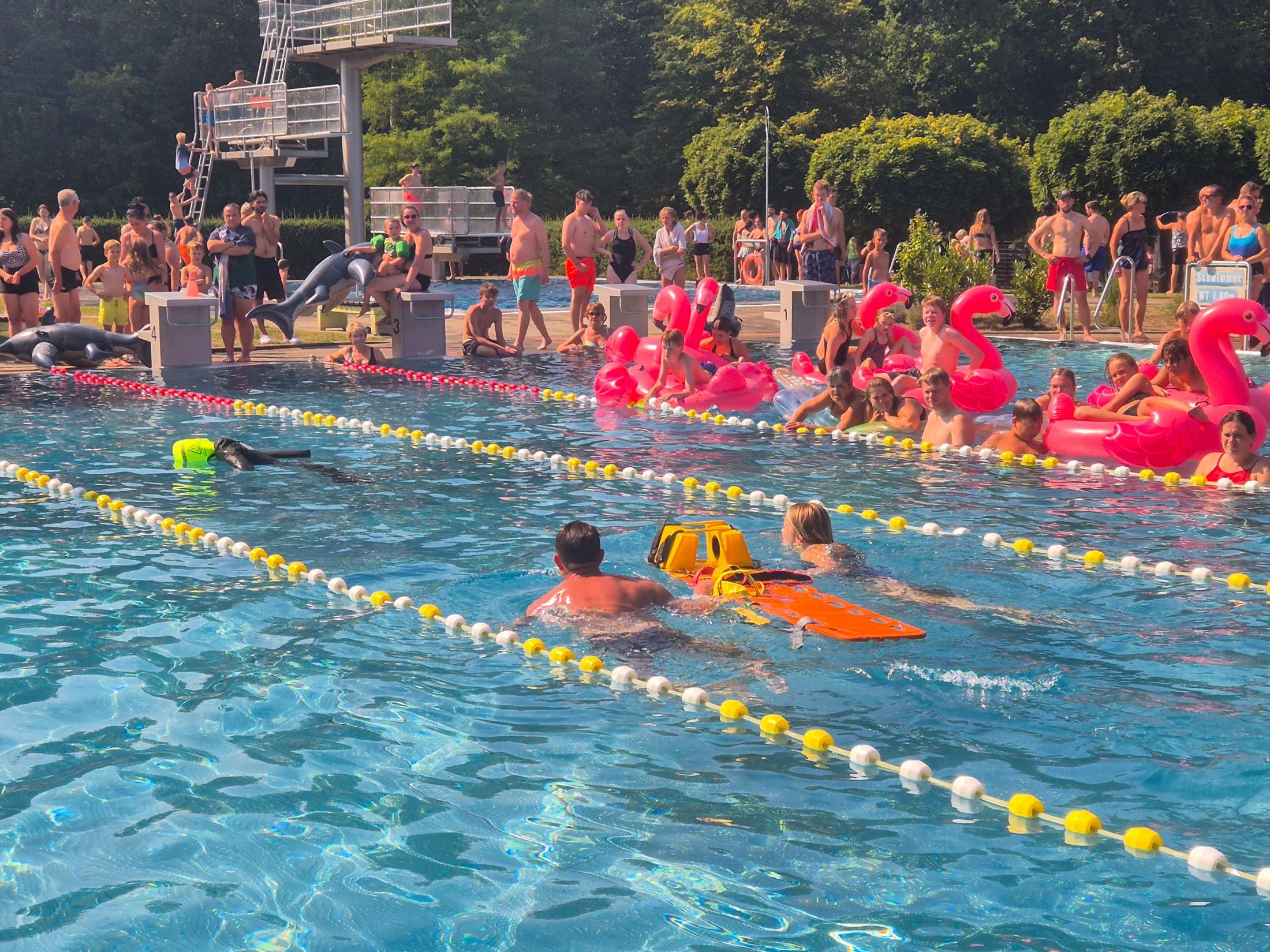 Im Hainholz-Schwimmbad tobten sich am Samstag Badegäste und Piraten beim Neptunfest aus